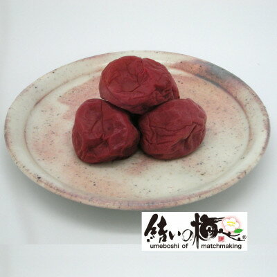 【ふるさと納税】結いの梅「あかぼし」500g(箱入り)【配送不可地域：離島・沖縄県】【1452938】