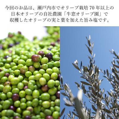 ふるさと納税 瀬戸内市 赤屋根オリーブの実と葉入り旨み塩&有機栽培オリーブオイルブレンド セット[No.5735-1842] |  | 01