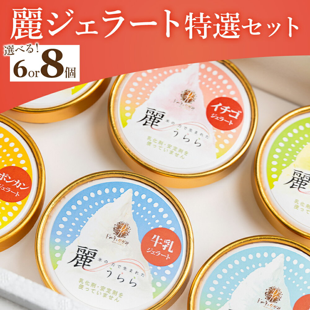 【ふるさと納税】【選べる】麗ジェラート 特選セット 6個／8個 - アイスクリーム デザート スイーツ お菓子 洋菓子 詰合せ 詰め合わせ アソート フレーバー ギフト 贈り物 添加物不使用 ドルチェかがみ 高知県 香南市【冷凍】 Rdc-0047
