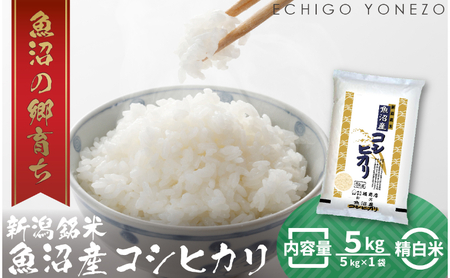 【令和7年産 新米先行受付】魚沼産コシヒカリ（精米）5kg 白米 精米 ブランド米 銘柄米 ご飯 おにぎり お弁当 和食 産地直送 粘り モチっと食感 上品な甘み 魚沼 新潟県