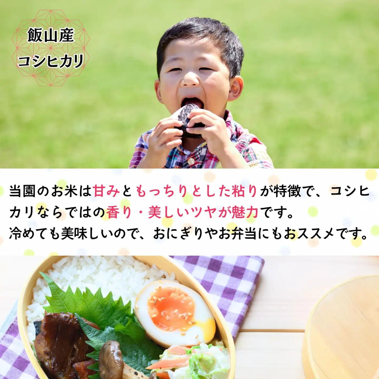 【新米予約】《定期便》＼ 2026年12月より10kg 6回 ／ コシヒカリ 木内ファーム