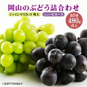 【ふるさと納税】ぶどう 2025年 先行予約 果物 詰合せ ニュー ピオーネ 1房480g以上 シャイン マスカット 晴王 1房 480g以上 化粧箱入り 岡山県産 フルーツ 果物 ギフト　 果物 フルーツ デザート 高級ぶどう 食べ比べ 　お届け：2025年8月下旬～2025年10月上旬