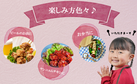 創業49年の歴史ある味　「とり幸SHOP」から揚げ用味付け鶏もも肉 500g ｜唐揚げ からあげ TKS