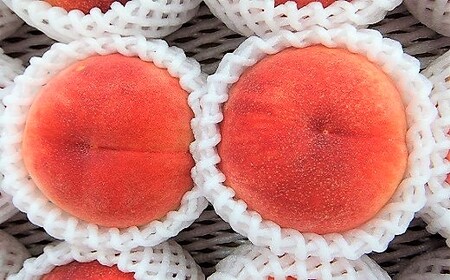桃（川中島）６～１１玉【３ｋｇ箱に２.７～３.３ｋｇ詰め】　0056-2616