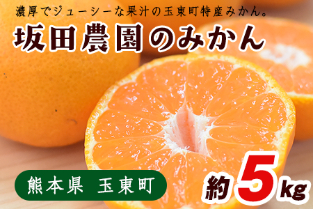 熊本県玉東町産限定『坂田農園』のみかん 大容量 約5kg(2S-L サイズ) 予約受付中 フルーツ 秋 旬 ジャム ゼリー 玉東町70年のベテラン！濃厚な食味とジューシーな果汁 熊本県玉東町《10月上旬-1月末頃出荷》---gkt_skt_7_5kg---