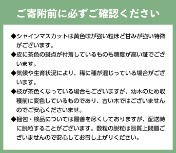 	〈2024年度配送分〉【全房糖度測定済み】 山梨県産 特選シャインマスカット 5～8房（約4kg)