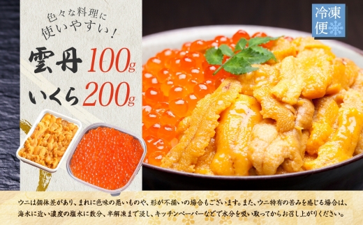 2498. うに 100g いくら醤油漬け 200g ウニ チリ産 冷凍 いくら 二色丼 雲丹 イクラ 海鮮 海鮮丼 うに丼 いくら丼 いくら醤油漬け 送料無料 北海道 弟子屈町