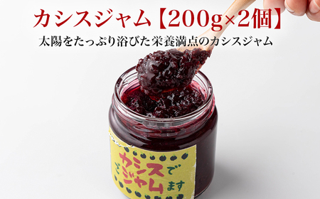 カシスジャム 200g×2個　【02402-0400】