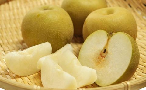 食の都庄内【令和7年産】《7・8・9月お届け-B》旬のフルーツの3ヶ月定期便 《7・8・9月お届け-B》