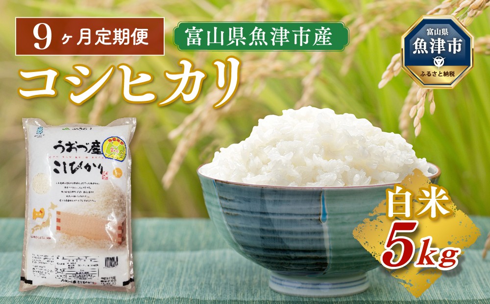 
            【令和7年度米】【9ヶ月定期便】富山県 うおづ産米「コシヒカリ」5kg（精米）｜9ヶ月定期便 9回 9ヶ月 こしひかり こめ コメ お米 おこめ 白米 精米 雪解け水 香り うまみ あまみ 冷めても 美味しい おにぎり お弁当 高品質 魚津市 ※北海道・沖縄・離島への配送不可
          