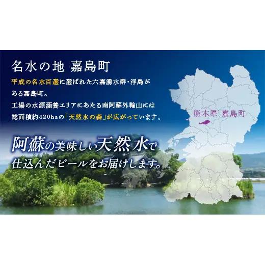 FK7-0339_ザ・プレミアム・モルツとオールフリーのセット 各350ml×1ケース（24本） 熊本県 嘉島町 ビール プレモル