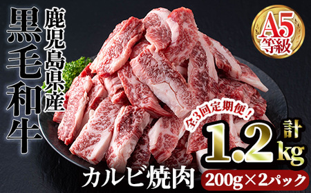 A5等級 鹿児島県産 黒毛和牛 カルビ 焼肉 (計1.2kg・200g×2パック×3回) 【カミチク】T44