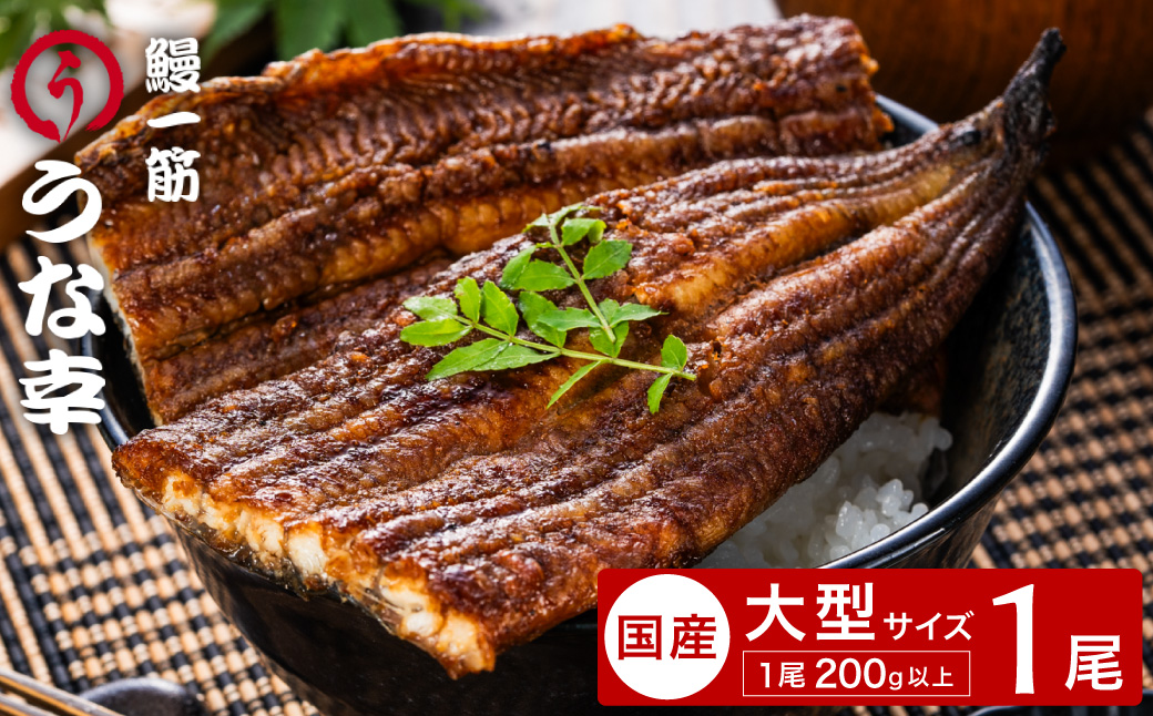 特製タレ 山椒付き 大型1尾 鰻一筋「うな幸」のふわとろ蒲焼き(“国産”大サイズ1本入り) / うなぎ ウナギ 鰻 蒲焼き 1尾 タレ セット 真空パック レンジ
