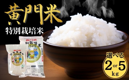 
                  コシヒカリ 特別栽培米【3～5営業日発送】 黄門米 白米 2～5kg 選べる 内容量 定期便 R7年産 | コシヒカリ 有機肥料 こしひかり 茨城県特別栽培農産物認証米 米 コメ こめ 白米 精米 5kg 2kg 5キロ 2キロ  米糠 大豆粉砕 農薬 抑えた 低農薬 健康 体 やさしい 高品質 お米 ご飯 美味しい米 ブランド米 特産物 認証 人気米 茨城県産 常陸太田市 タツミ米穀
                