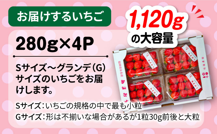 【先行予約受付中・2025年1月下旬より順次発送】【農家直送！】 糸島産 あまおう 280g×4パック (GおよびSサイズ) 糸島市 / 後藤農園 [AML003]