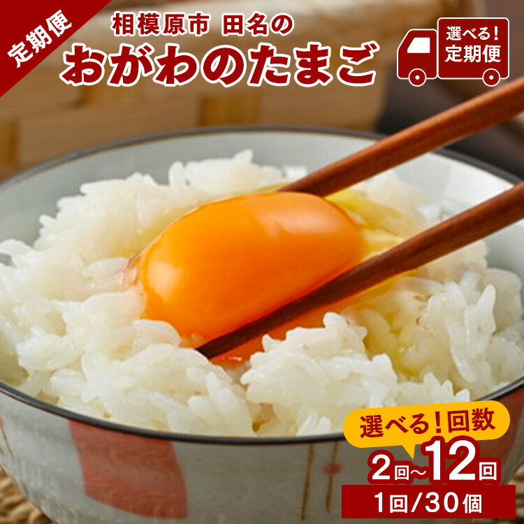 【ふるさと納税】【選べる定期便】2ヶ月～12ヶ月 相模原市田名のおがわのたまご　ピンク卵 Mサイズ 30個(27個＋割れ補償3個) | 卵 鶏卵 玉子 たまご 生卵 国産 濃厚 コク 旨味 旨み