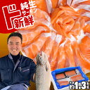 【ふるさと納税】刺身用 純生 サーモン アトランティック サーモン ノルウェー産 半身 小分け 約1.3kg以上 全4パック 骨なし 皮なし おすすめ 刺身 骨取り 鮭 さけ サケ シャケ 魚 お弁当 おかず お刺身 おせち お正月 ランキング 鮮度 新鮮 宮城県 塩竈市 宮内商店