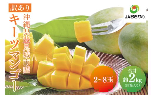 【2025年8月より順次発送】★訳あり★キーツマンゴー 2～8玉(約2kg)【白箱】ご家庭用｜訳あり わけあり 訳アリ キーツマンゴー マンゴー キーツ フルーツ 果物 くだもの おきなわマンゴー 家庭用 先行予約 沖縄県 豊見城市(AE016)