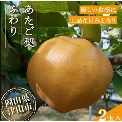 2026年11月下旬より順次発送予定　あたご梨 ふわり(2玉入り)