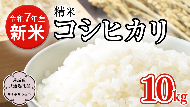 
            【令和7年産 新米】 精米 茨城県産 コシヒカリ 10kg   (茨城県共通返礼品 かすみがうら市) 紙米袋 茨城 新米 精米 コシヒカリ お米 ごはん 直送 銘柄米 [DH020sa]
          
