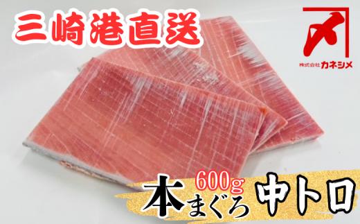 三崎マグロ卸問屋カネシメの本鮪中トロ600g　M070-005