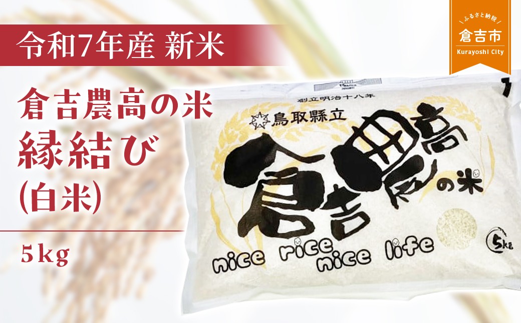 
                  【令和７年産米】 倉吉農高の米　縁結び（白米） （5kg）令和7年産 お米 米 こめ コメ 白米 農業高校 金賞 縁結び 倉吉市
                