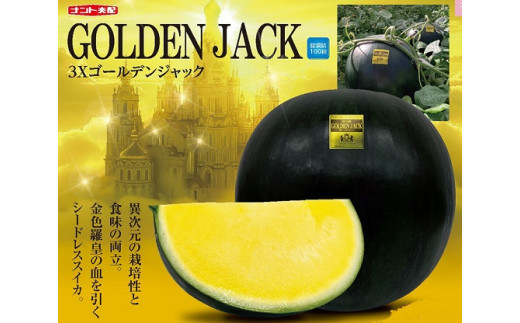 山形村産 ゴールデンジャック 1玉（7kg以上）中川農園 3210