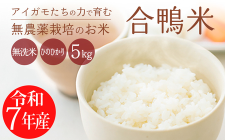 【先行受付・令和7年産】無農薬栽培 合鴨米ひのひかり(無洗米)5kg　TF0422-P00029