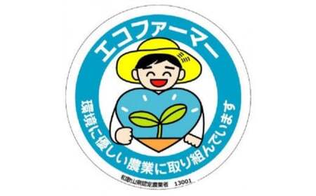 採れたてタネなし柿“3L”サイズ7.5kg＜2026年10月中旬～10月下旬頃発送予定＞【art021A】