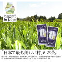 【ふるさと納税】【毎月定期便】八女茶 奥八女星野村 深蒸し高級煎茶(深蒸し茶)100g×2袋(吉富町)全6回【4005753】