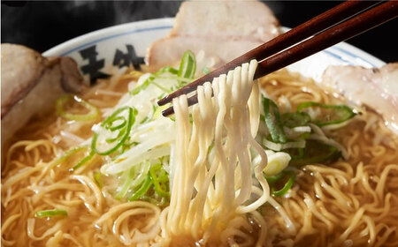 【3回定期便】岐阜老舗ラーメン店天外 みそラーメン5食セット 簡単調理 自宅で本格ラーメン 主婦応援 真空パック お取り寄せ ご当地 グルメ 岐阜市/カツヤプロジェクト [ANCT007]