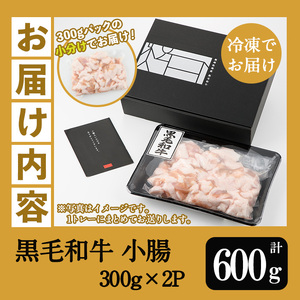 【数量限定】鹿児島県産黒毛和牛の小腸 ホルモン 900g(300g×3P) 国産 鹿児島県産 黒毛和牛 モツ 生ホルモン 生冷凍ホルモン お取り寄せ【L-003H】