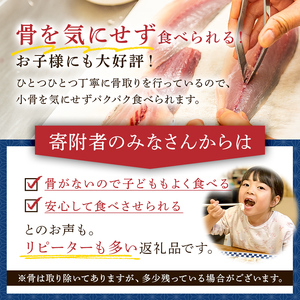 【定期便】【訳あり】骨取り塩さば　切身1kg（500g×2袋）【3か月連続お届け】 mi0012-0153