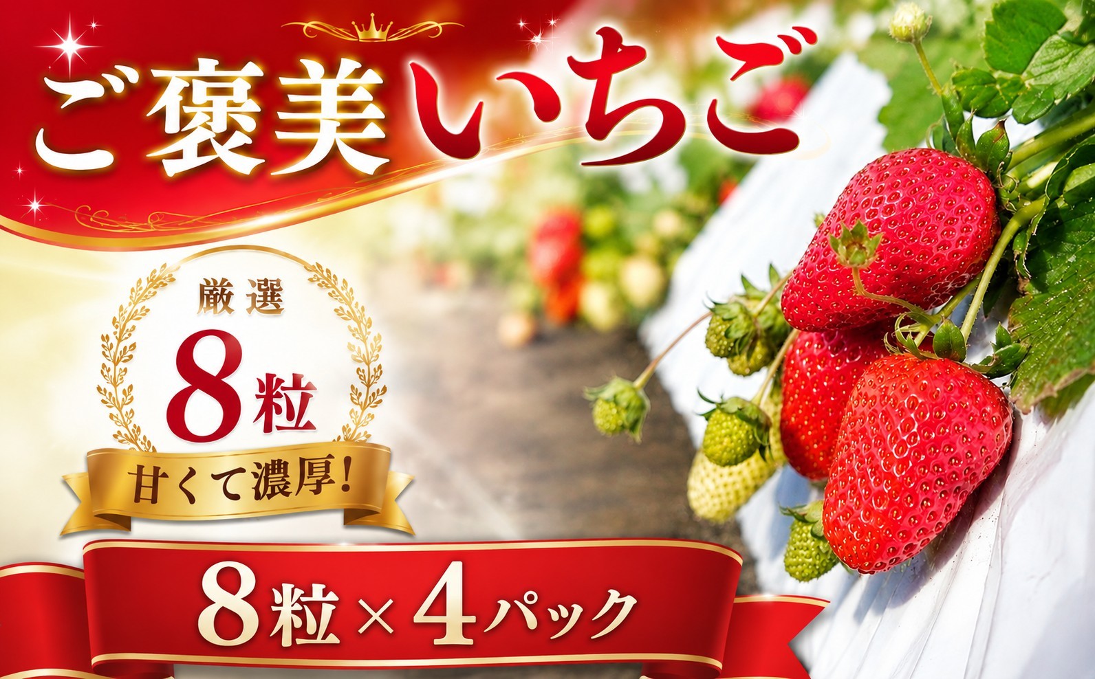 
                  【先行予約・チョイス限定】 いちご 紅ほっぺ イチゴ 苺 大粒 厳選8粒×4パック 数量限定 贅沢 ご褒美 ギフト 手土産 農家直送 フルーツ 果物 くだもの ブランド ふるさと納税  神奈川県 厚木市 コンファーム KNF004
                