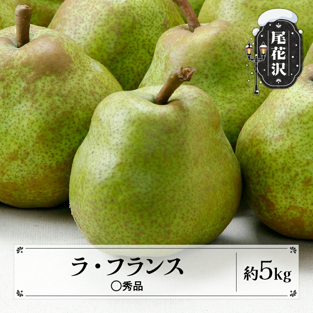 【ふるさと納税】先行予約 ラ・フランス ◯秀品 約5kg (12~20個程度) 11月中旬~12月中旬頃発送 山形県産 フルーツ 果物 くだもの 西洋梨 洋梨 梨 ラフランス 2026年産 令和8年産 佐竹物産 sb-lamsx5-b※沖縄・離島への配送不可
