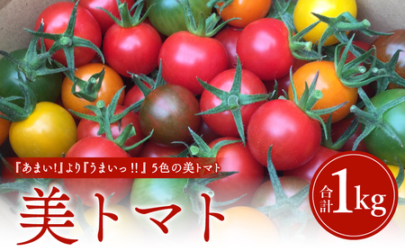 【数量・期間限定】美トマト(5色) 1kg ミニトマト 野菜 ギフト