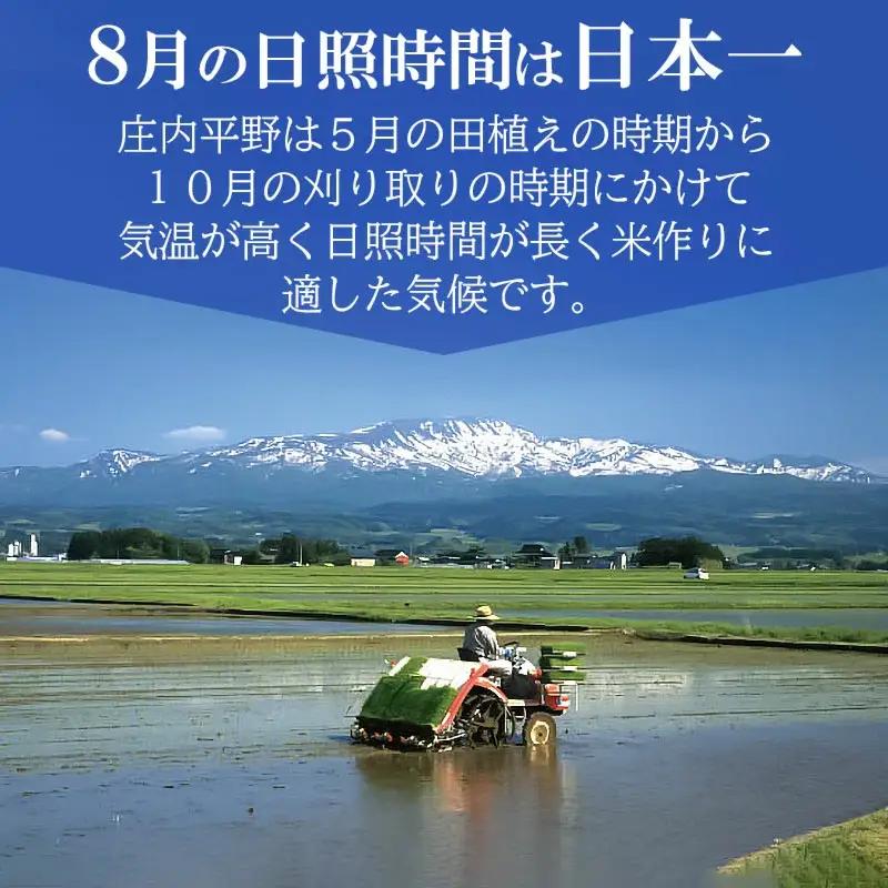 【令和7年産】 特別栽培米ひとめぼれ 乾式無洗米 10kg（5kg×2袋）山形県鶴岡市産　有限会社コープスター会　| 米 こめ コメ 10キロ ブランド米 庄内米 ごはん ご飯 美味しい 国産 おすす