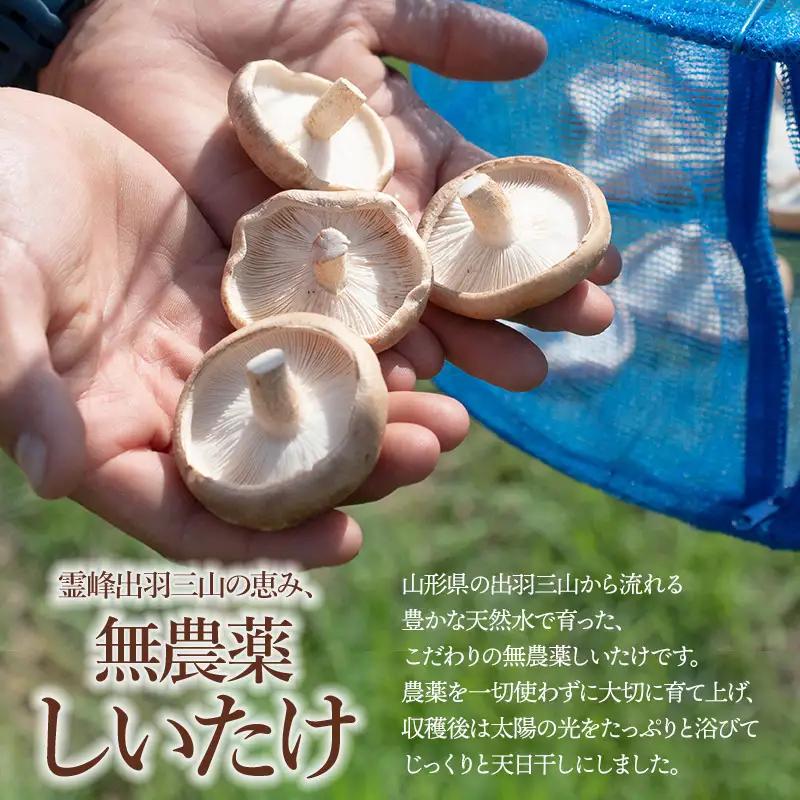羽黒産 乾燥しいたけ 60g(12g×5)　山形県鶴岡市 農事組合法人 庄内おばこ農場 K-710