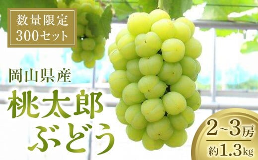 桃太郎ぶどう 1.3kg 【限定300セット】