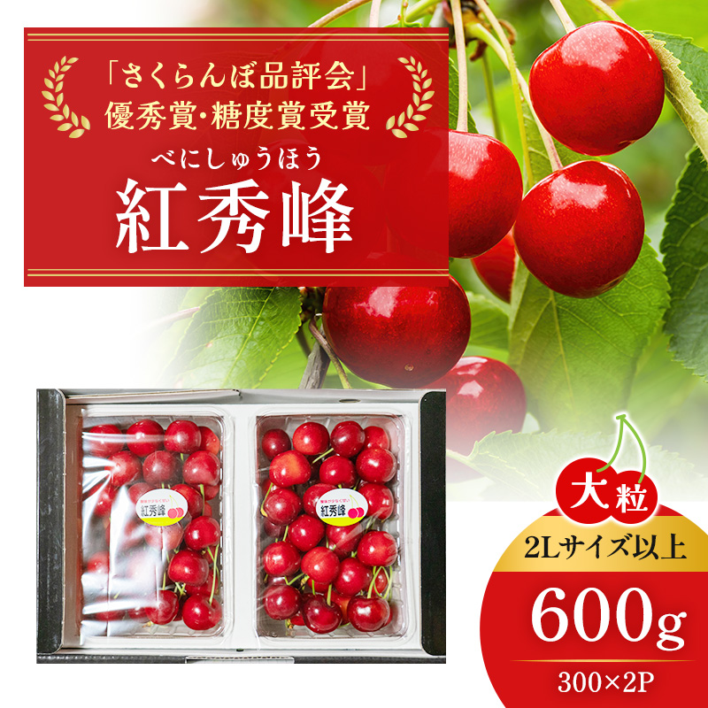 2027年発送 北海道 仁木町産 ジャンボサイズ さくらんぼ 【 紅秀峰 】2Lサイズ以上 300g×2パック 計600g 　サクランボ チェリー フルーツ 果物 果物類  仁木町 仁木 [嶋田茂農園匠]