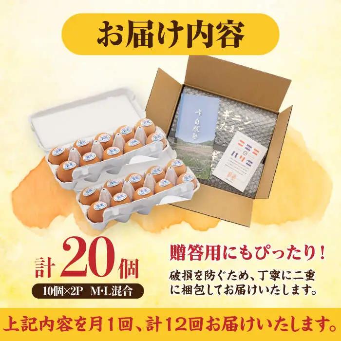 【全12回定期便】アルギニン元気たまご20個【浅田峠自然塾】[EA04] 卵 定期便 卵 平飼い卵 たまご