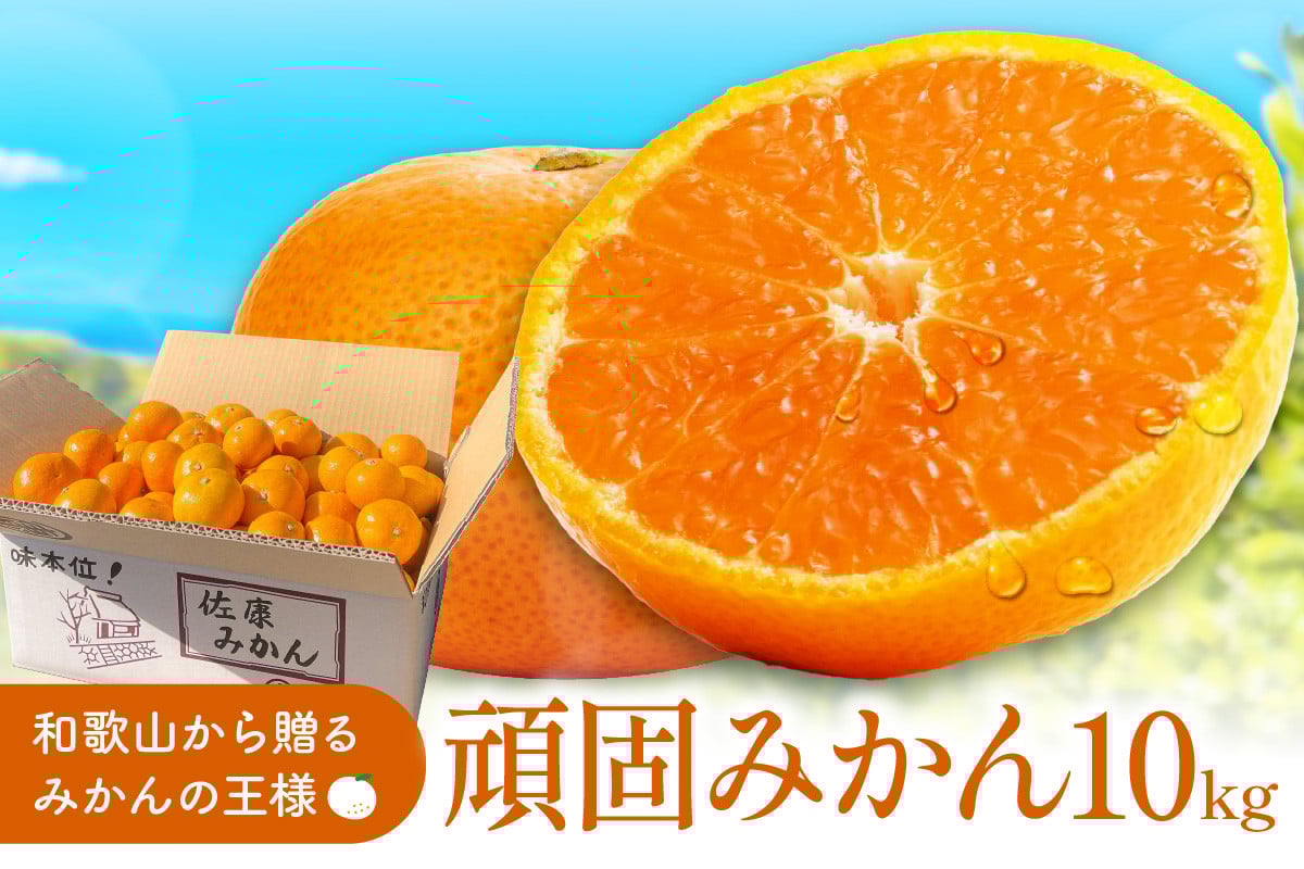 
            和歌山県天田のこだわり頑固みかん 10㎏
          