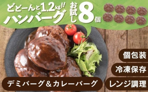 ZI425.累計４０万個突破記念！お試し1.2kg!デミ＆カレーハンバーグセット【150g×8個】【訳あり】【北海道・沖縄・離島へ配送不可】