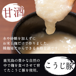 A2-025 麹屋が作る本格派甘酒カレー5箱セット(200g×5箱)【河内菌本舗】