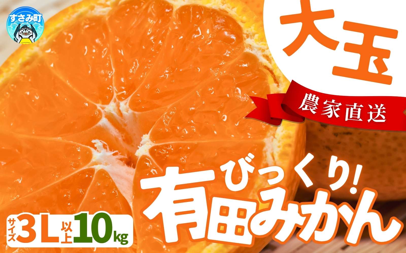 【農家直送】有田みかん 約10kg 大玉3L以上 有機質肥料100% 2025年12月初旬～1月中旬に順次発送(お届け日指定不可)【nuk139F】