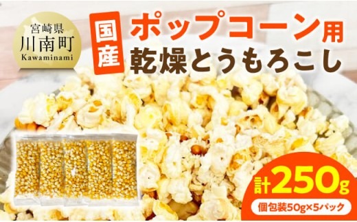 国産ポップコーン用（乾燥とうもろこし）　250g（個包装50g×5パック） 【 数量限定 期間限定 宮崎県産 ポップコーン 】[C07108]