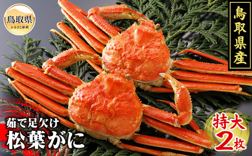 鳥取県産　浜茹で松葉がに　特大2枚（訳あり）【期間限定】_T2600094 ふるさと納税 鳥取 かに カニ 蟹 海鮮 海の幸 冬の味覚 数量限定 訳あり