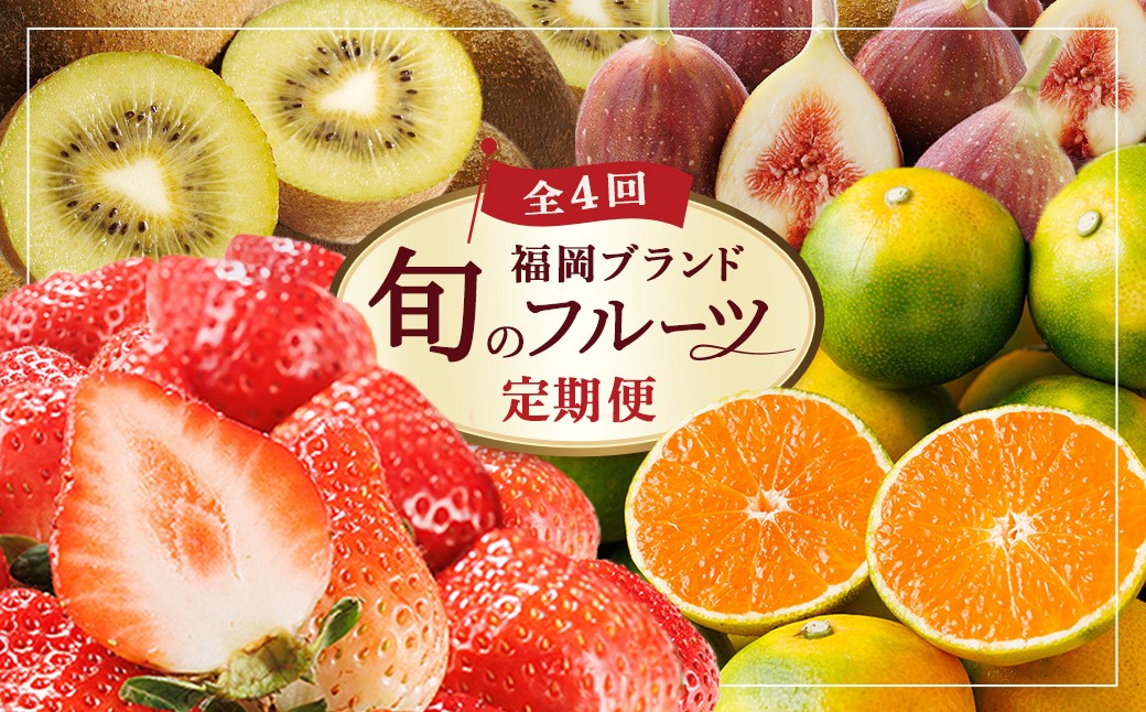 
                  ＜全4回・定期便＞ 福岡ブランド！季節のご褒美 フルーツ定期便 (総計約8.8kg) あまおう とよみつひめ 早味かん 甘うぃ いちご 苺 いちじく みかん 蜜柑 キウイ フルーツ 果物 くだもの ＜離島配送不可＞【ksg1918】【農産物直売所ほたるの里】
                