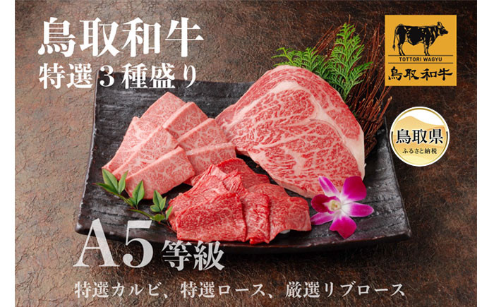 
                  鳥取和牛 A5等級 特選３種盛り（特選カルビ150g、特選ロース150g、厳選リブロース200g）_T2600257
                