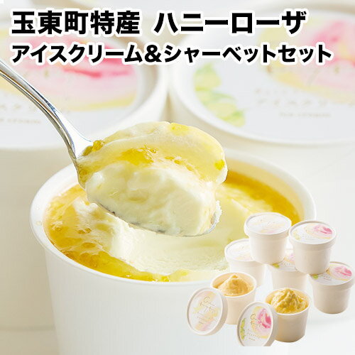 【ふるさと納税】抜群の糖度と爽やかな酸味♪ハニーローザアイスクリーム＆ハニーローザシャーベット 120ml×各4個 熊本県玉名郡玉東町 すもも ハニーローザ アイス ぷらっとぎょくとう《60日以内に出荷予定(土日祝除く)》